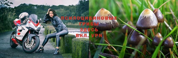 стаф Алексеевка