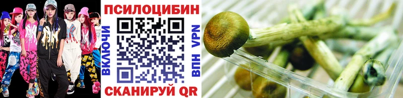 дарнет шоп Байкальск Галлюциногенные грибы GOLDEN TEACHER